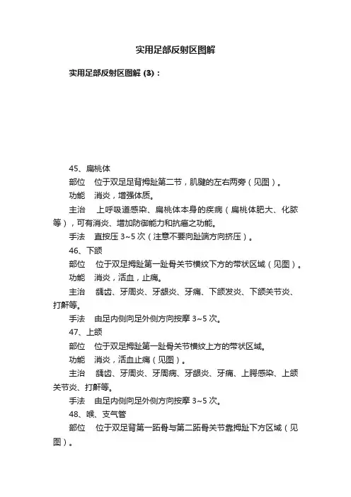 实用足部反射区图解