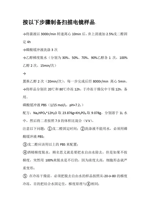 电镜处理