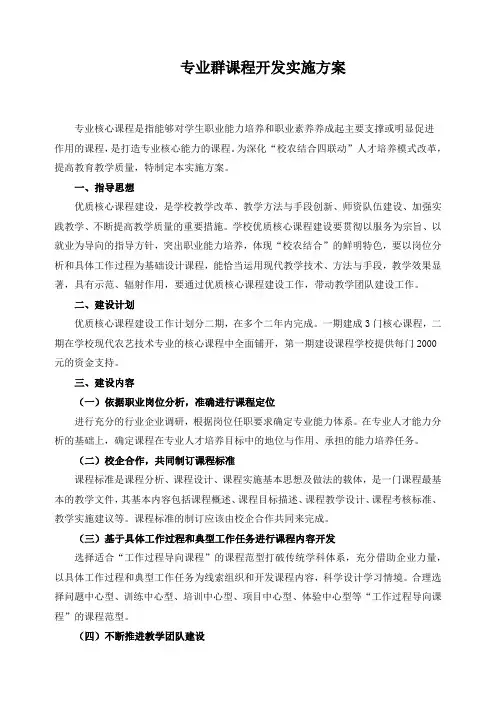 专业群课程开发实施方案