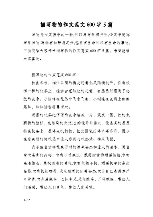 描写物的作文范文600字5篇