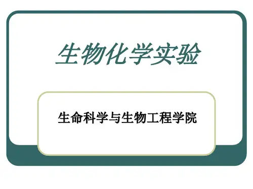 生化实验SDS-PAGE