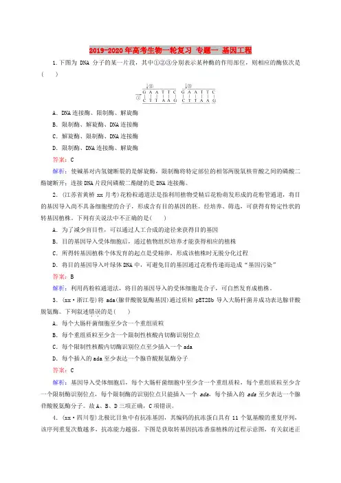 2019-2020年高考生物一轮复习 专题一 基因工程