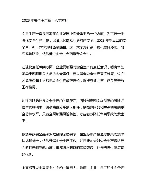 2023安全生产新十六字方针