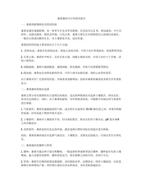 桑黄栽培可行性研究报告