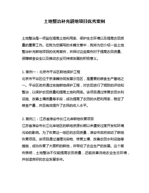 土地整治补充耕地项目优秀案例
