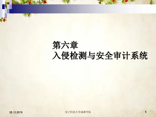 入侵检测与安全审计系统(ppt 46页)