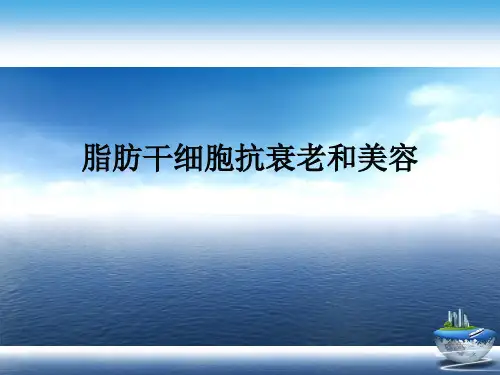 脂肪干细胞抗衰老和美容演示文稿