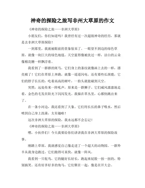 神奇的探险之旅写非州大草原的作文