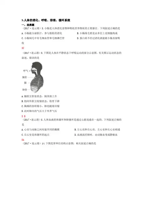 初中生物----人体的消化、呼吸、排泄、循环系统
