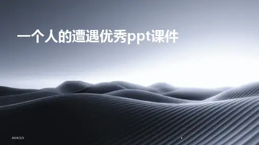 2024版年度一个人的遭遇优秀ppt课件