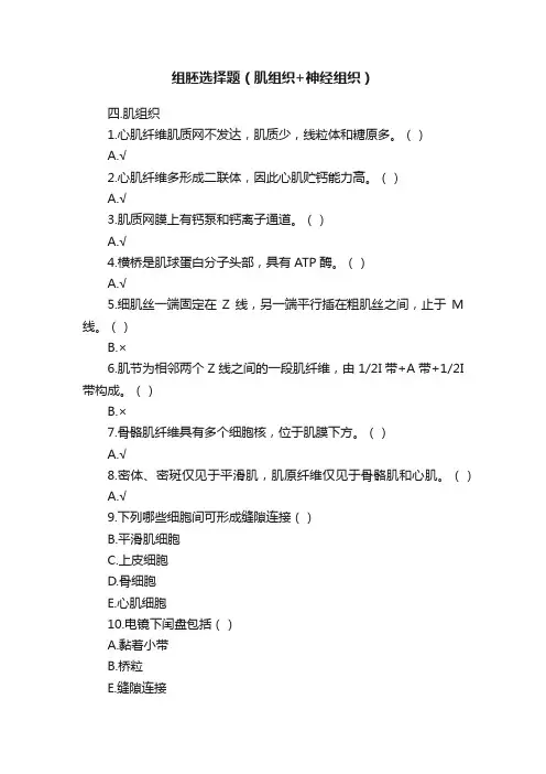 组胚选择题（肌组织+神经组织）