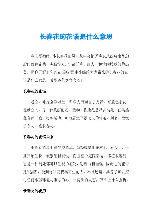 长春花的花语是什么意思