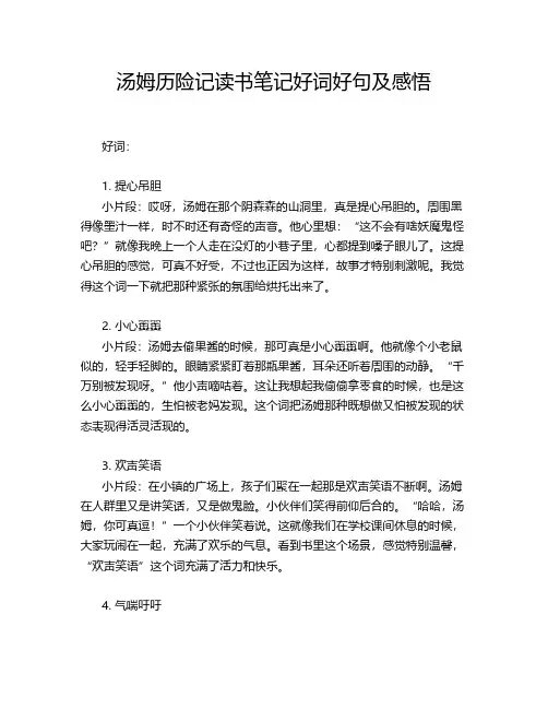汤姆历险记读书笔记好词好句及感悟