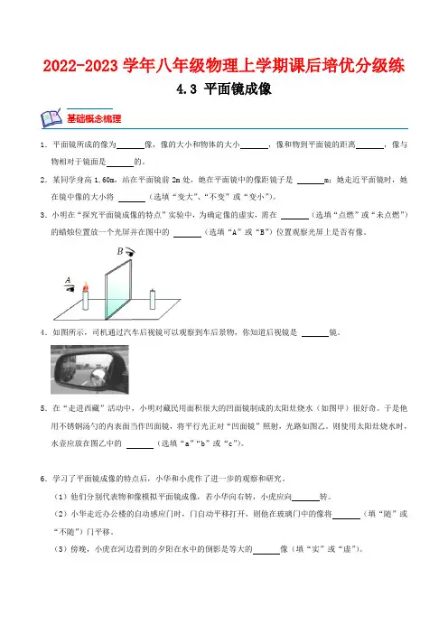 4.3平面镜成像(原卷版+解析)