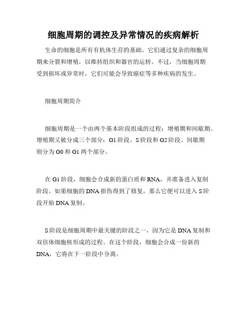 细胞周期的调控及异常情况的疾病解析