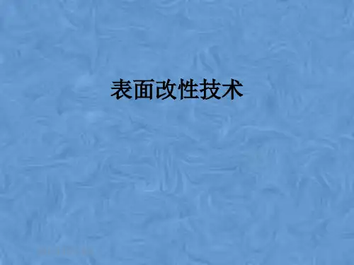表面改性技术