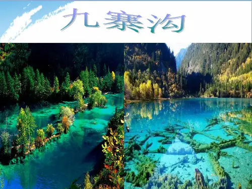 四年级写景作文精华版 ppt课件(推荐)
