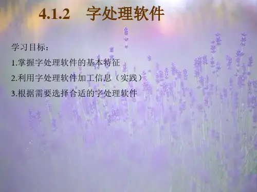 4.1.2 字处理软件