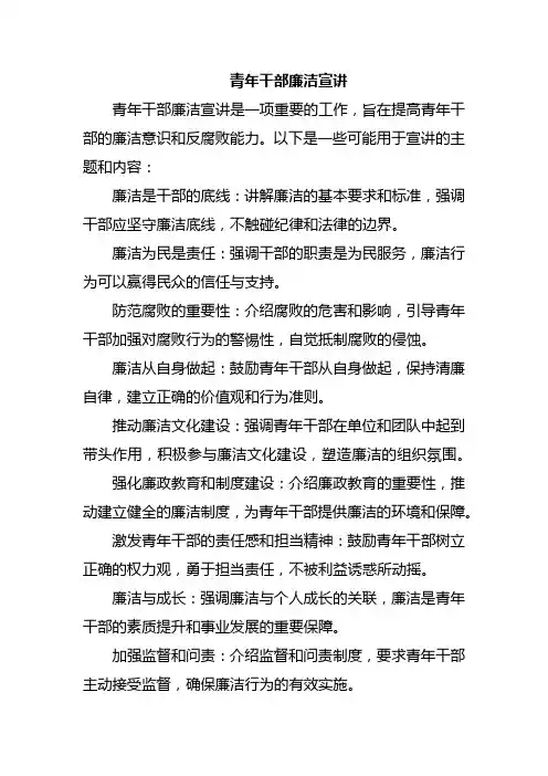 青年干部廉洁宣讲