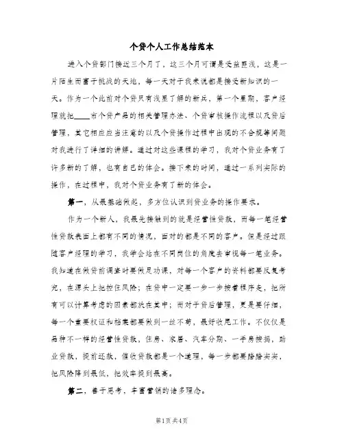 个贷个人工作总结范本（2篇）