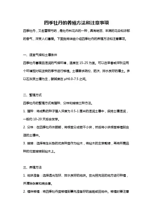 四季牡丹的养殖方法和注意事项