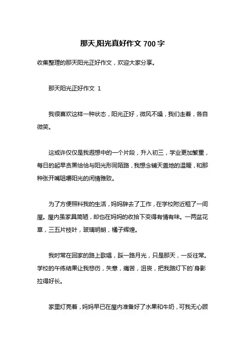 那天,阳光真好作文700字