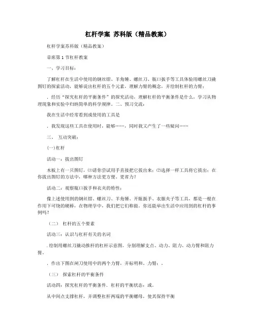 杠杆学案 苏科版(精品教案)