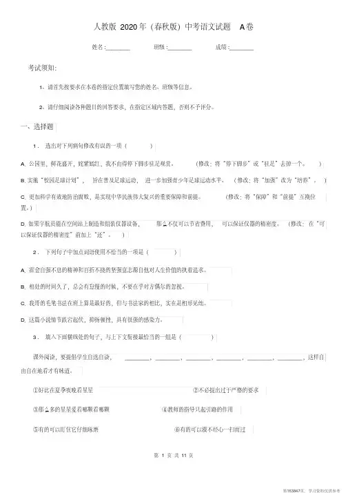 (精品文档)人教版2020年(春秋版)中考语文试题A卷(测试)