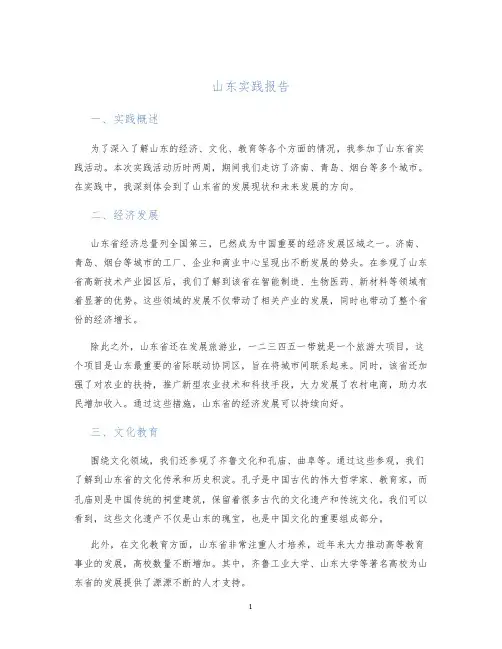 山东实践报告