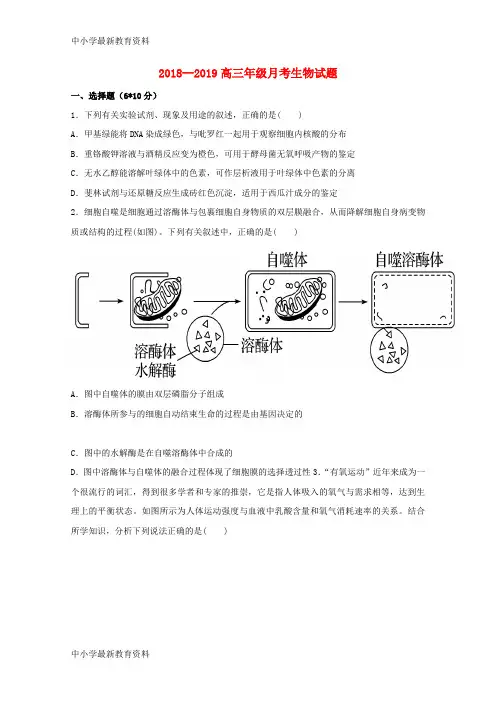 河南省新乡市延津县2018届高三生物12月月考试题(普通班)