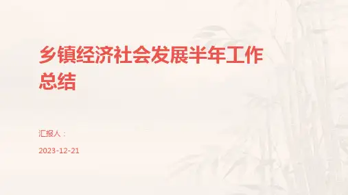乡镇经济社会发展半年工作总结