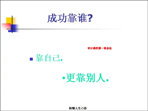 审计课件第一章总论