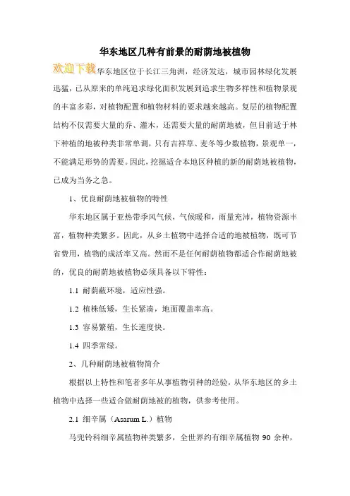华东地区几种有前景的耐荫地被植物