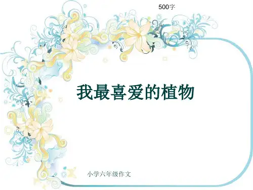 小学六年级作文《我最喜爱的植物》500字(共8页PPT)