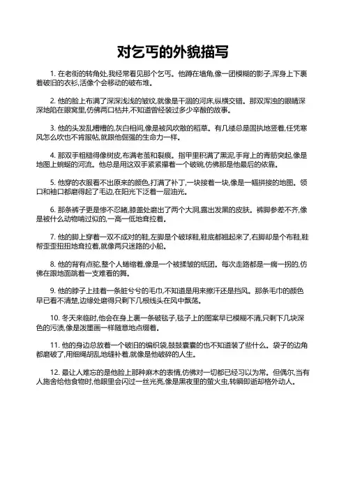 对乞丐的外貌描写