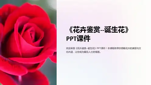 《花卉鉴赏--诞生花》课件