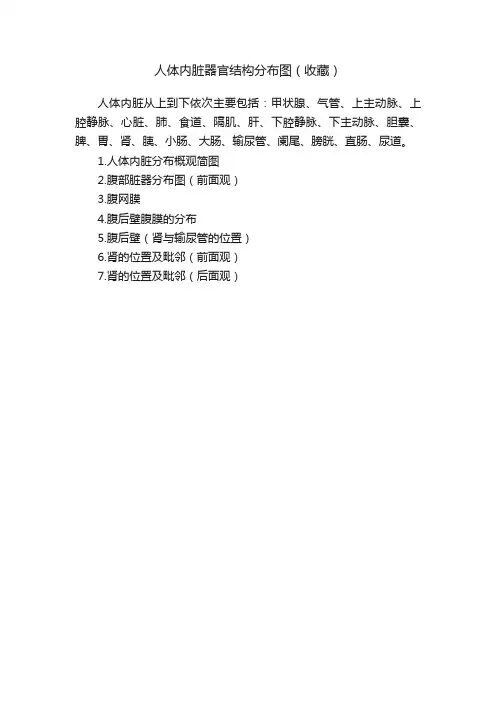 人体内脏器官结构分布图（收藏）