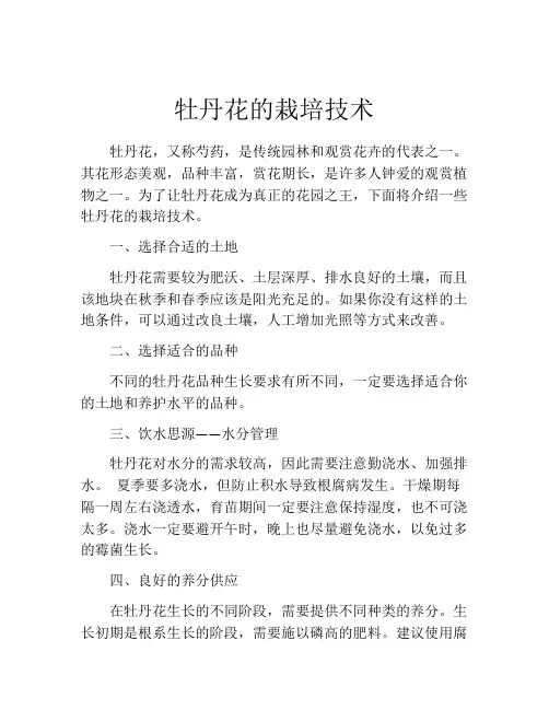 牡丹花的栽培技术