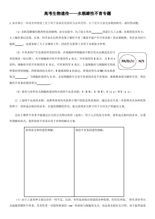 高考生物遗传——水稻雄性不育专题练习(含答案)