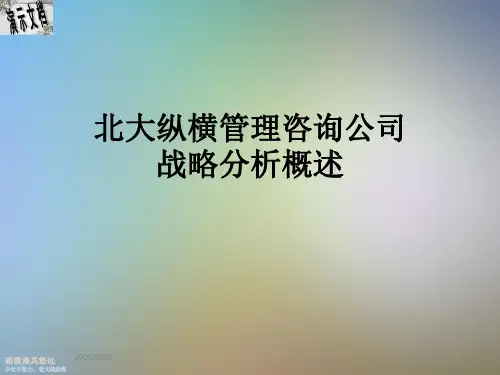 北大纵横管理咨询公司战略分析概述