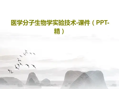 医学分子生物学实验技术-课件(PPT-精)共18页