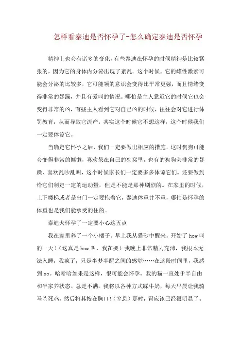 怎样看泰迪是否怀孕了-怎么确定泰迪是否怀孕