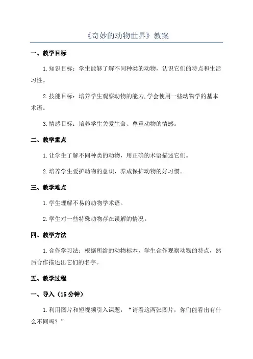 《奇妙的动物世界》教案