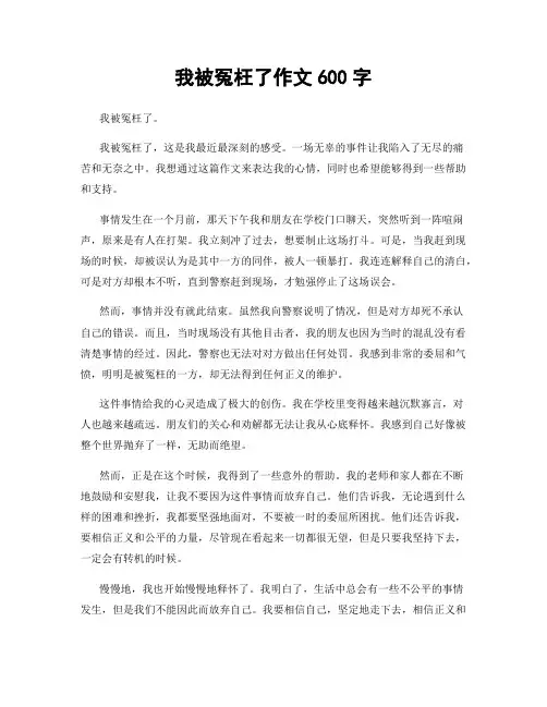 我被冤枉了作文600字