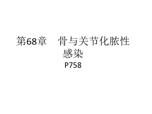 骨与关节化脓性感染PPT课件(1).ppt