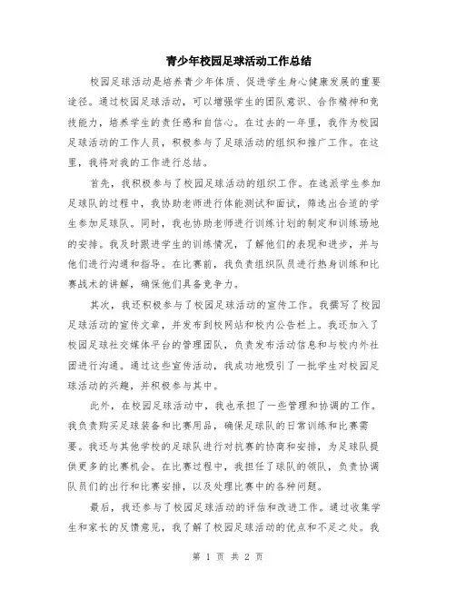 青少年校园足球活动工作总结