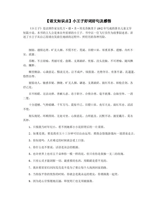 【语文知识点】小王子好词好句及感悟