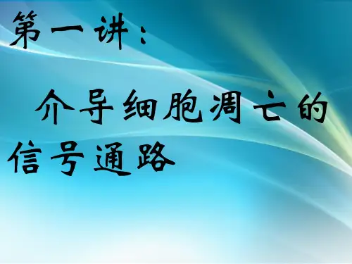 介导细胞凋亡的信号通路