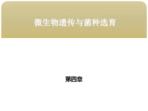食品微生物学 第四章微生物遗传与菌种选育 第一节微生物遗传变异