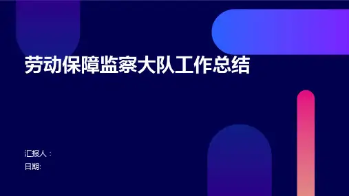 劳动保障监察大队工作总结